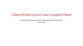 Cyberinfrastructure User Support Panel Workshop Insights
