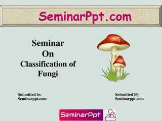 Exploring the Classification of Fungi in Kingdom Fungi