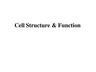 Exploring Cell Structure and Function in Biology