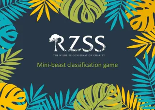 Understanding Classification in Mini-Beasts and Invertebrates