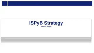 ISPyB Collaboration Strategy for Sustainable Software Stack Development