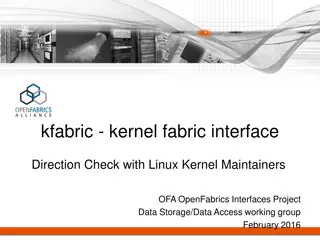 Kernel Fabric Interface for Enhanced Data Access in Linux Ecosystem