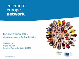 European Support for Textile SMEs and Sustainability Initiatives