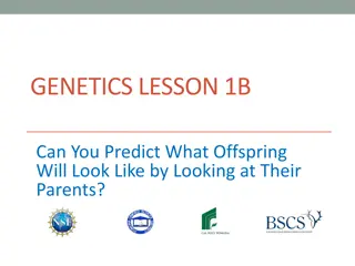 Predicting Offspring Traits from Parental Characteristics in Genetics Lessons
