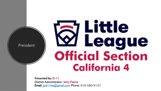 Local Little League Board of Directors Responsibilities and President's Role