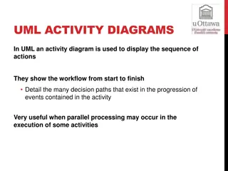 Understanding UML Activity Diagrams: Workflow Visualization and Decision Paths
