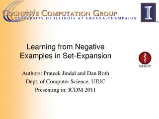 Negative Examples in Set Expansion: Importance and Improvement