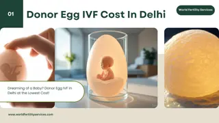 Egg Donor IVF Cost in Delhi | World Fertility Services