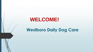 Best Pet boarding in Lincoln Heights