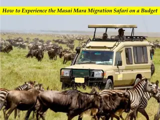 How to Experience the Masai Mara Migration Safari on a Budget