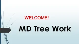 Best Tree Trimming in East Melbourne