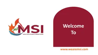 Professional Mold Inspection Services