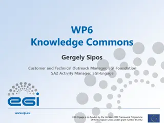 EGI Foundation SA2 Activity Manager - Objectives, Partners, and Achievements