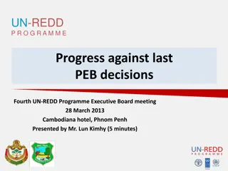 UN-REDD Programme Progress Update from Fourth Executive Board Meeting