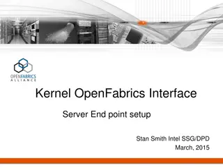 Kernel OpenFabrics Interface Server Endpoint Setup Steps