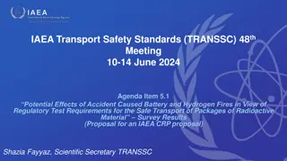 Potential Effects of Battery and Hydrogen Fires on Transport Safety Standards
