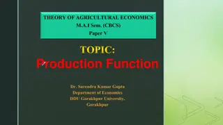 Understanding Production Functions and Their Significance