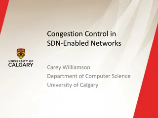 SDN-Enabled Network Congestion Control for High-Bandwidth Applications