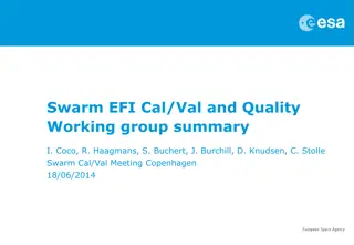 Swarm EFI Cal/Val and Quality Working Group Summary - Meeting Highlights