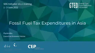 Understanding Global Tax Expenditures Database and Fossil Fuel Tax Expenditures in Asia