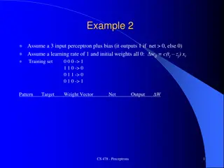 Understanding 3-Input Perceptron with Bias and Learning Rate