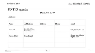 IEEE 802.11-18/1743r2 FD TIG Meeting Agenda November 2018