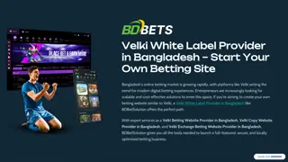 Velki White Label Betting Website Provider in Bangladesh