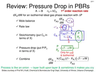 Analysis of Rate Data and PBRs in Chemical Engineering