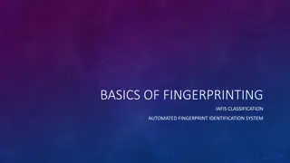 Fingerprint Identification System Overview