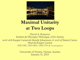 Unveiling Maximally Unitary Results in Gauge Theories