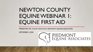 Equine First Aid Essentials and Emergency Procedures