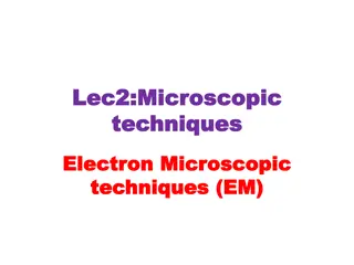 Explore Electron Microscopic Techniques for Detailed Cell Observation