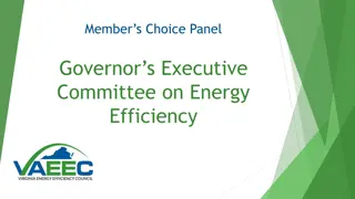 Governor's Executive Committee on Energy Efficiency Programs and Recommendations