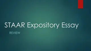 Mastering STAAR Expository Essay Writing Tips