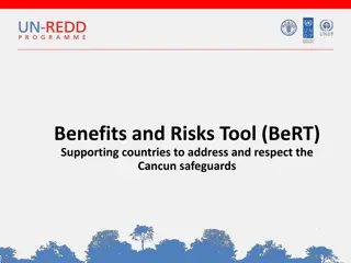 Addressing and Respecting Cancun Safeguards with Benefits and Risks Tool