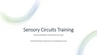 Understanding Sensory Processing: Importance and Impact on Behavior