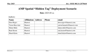 IEEE 802.11-25: AMP Spatial Hidden Tag Deployment Scenario Review