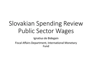 Understanding Slovakian Public Sector Wage Review and Spending Analysis