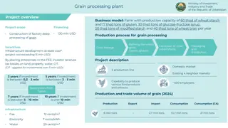 Investment Opportunity in Uzbekistan's Grain Processing Project