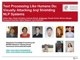 Visually Attacking and Shielding NLP Systems for Human-like Text Processing