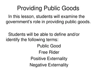 Understanding Public Goods and Government Role in Provision