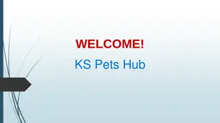 Get the best Pet Food in Yishun