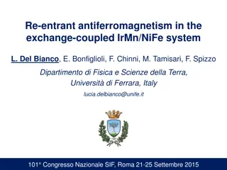 Dynamic Magnetic Behavior Study in Exchange-Coupled IrMn/NiFe System