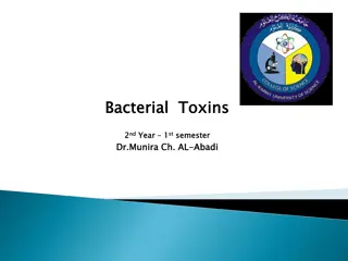 Understanding Bacterial Toxins and Their Role in Pathogenicity
