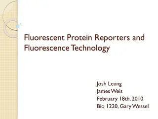 Understanding Fluorescence Technology in Biology