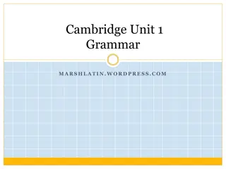 Latin Nouns and Verbs: Understanding Cases and Declensions