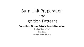 Prescribed Fire Preparation and Ignition Techniques