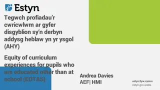 Equity in Curriculum Experiences for EOTAS Pupils in Wales