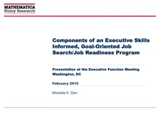 Effective Executive Skills and Goal-Oriented Program Development