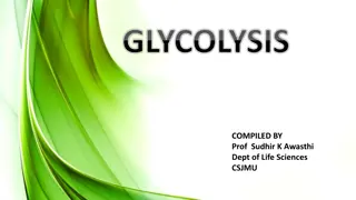Understanding Glycolysis: Process, Enzymes, and Energy Production